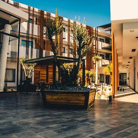 Hotel Mina Real Matehuala Ngoại thất bức ảnh