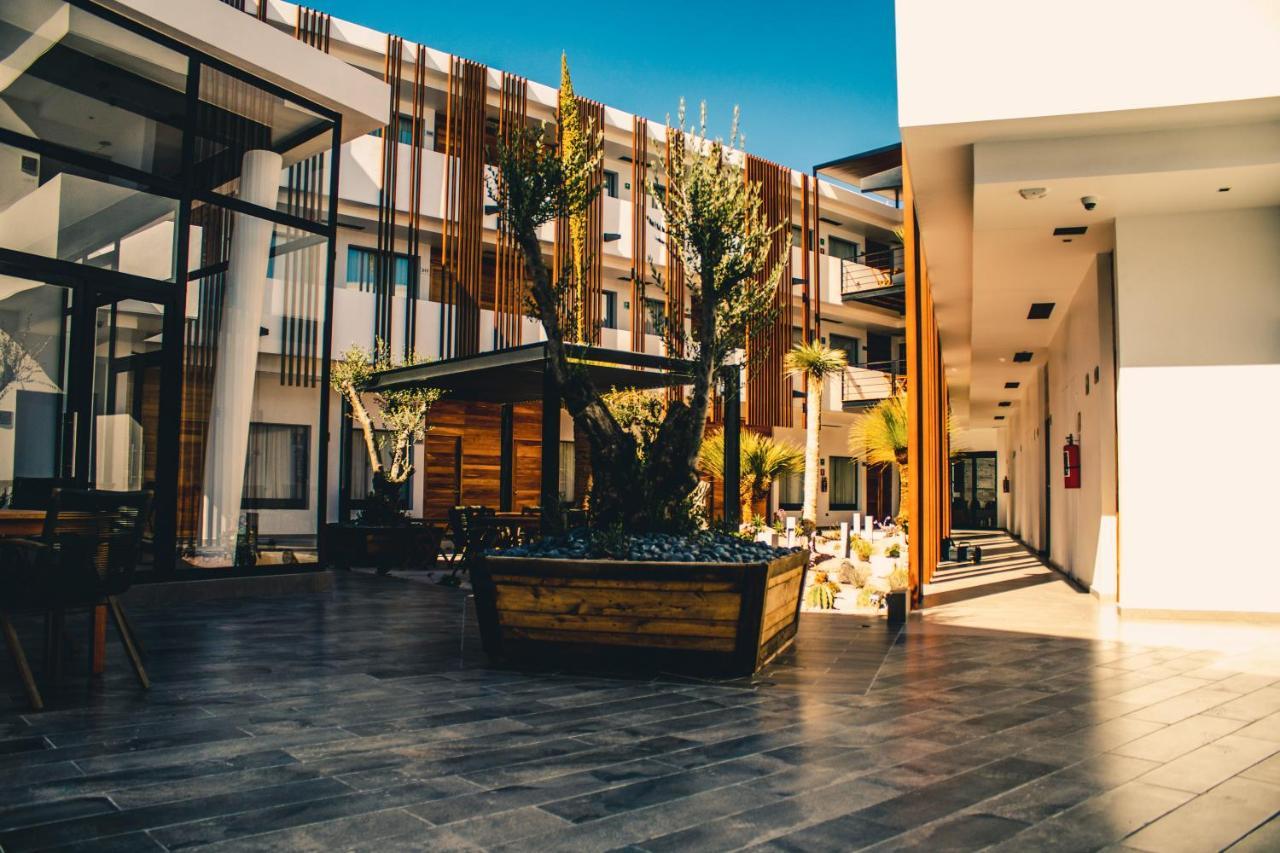 Hotel Mina Real Matehuala Ngoại thất bức ảnh